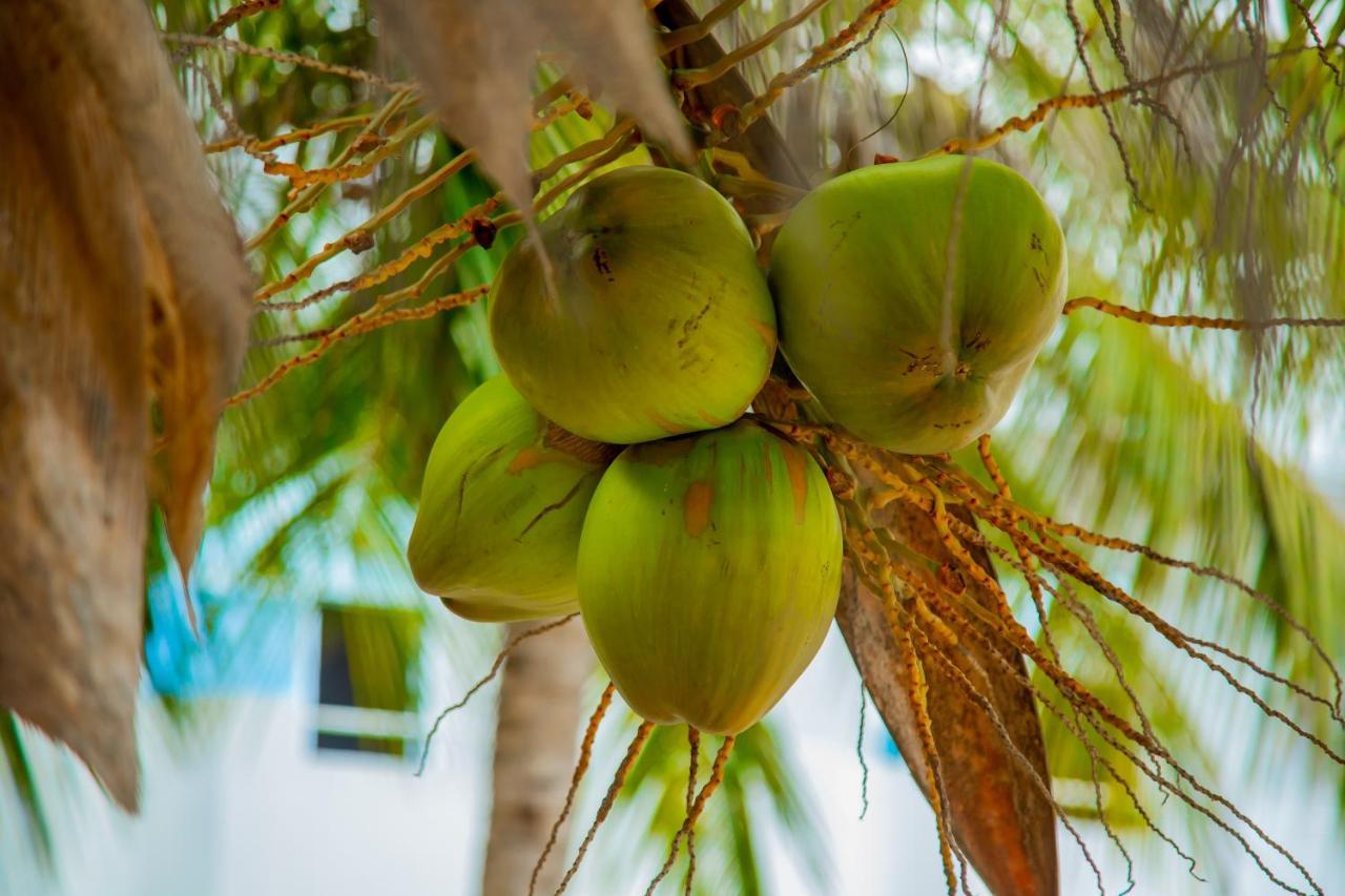 Pwani Beach Boutique Hotel Zanzibar Пвани Мчангани Екстериор снимка